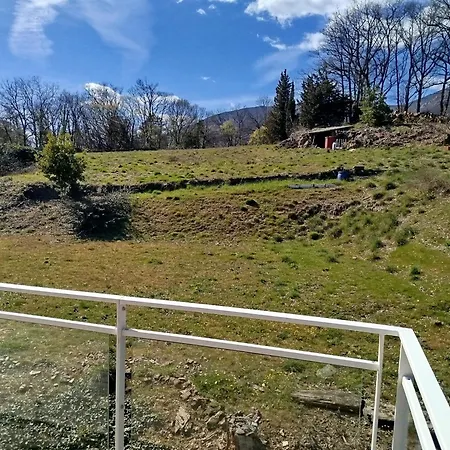 Le Petit Arbre De L'amitie Saint-Vincent (Herault)