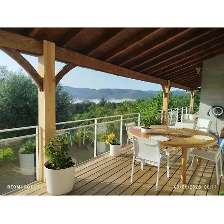 Le Petit Arbre De L'amitie Saint-Vincent (Herault)