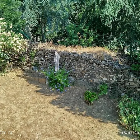 Le Petit Arbre De L'amitie *